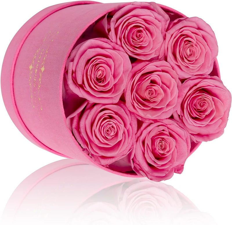 NATROSES 7 Piece Preserved Roses in Pink Box - Image 2